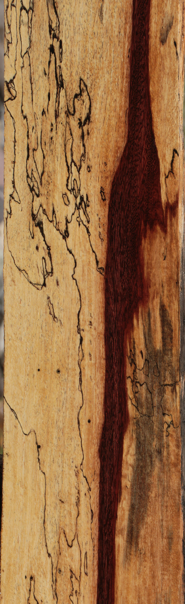 Exhibition Spalted Tamarind Lumber