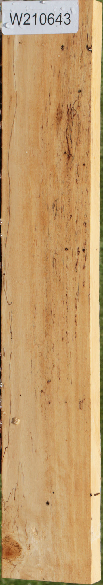 Spalted Tamarind Lumber