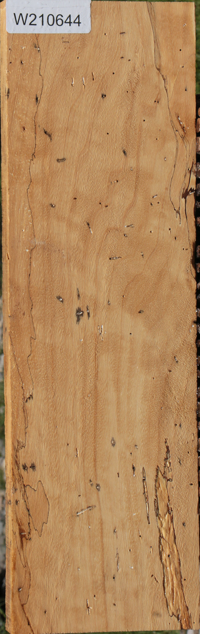 Spalted Tamarind Lumber