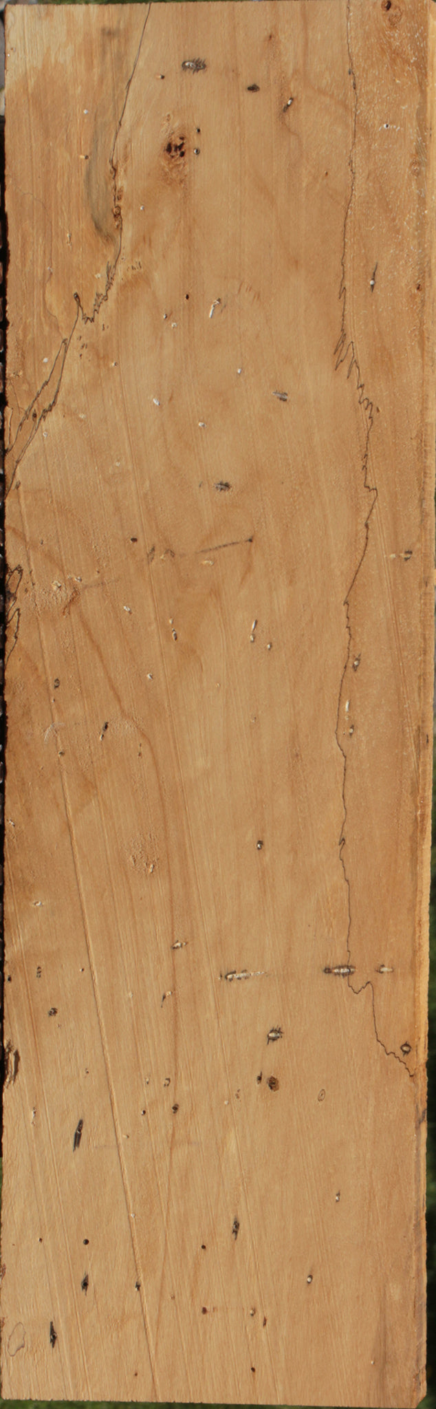 Spalted Tamarind Lumber