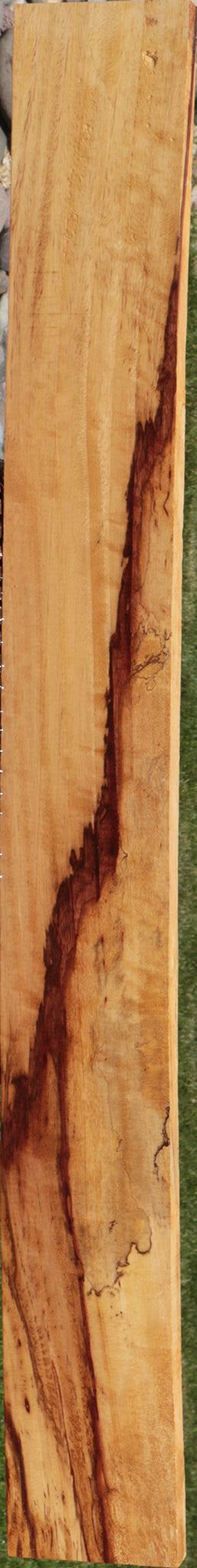 Exhibition Spalted Tamarind Lumber