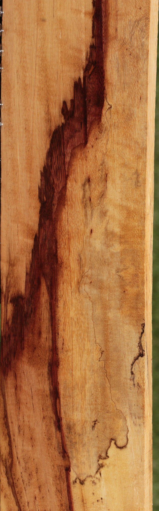 Exhibition Spalted Tamarind Lumber