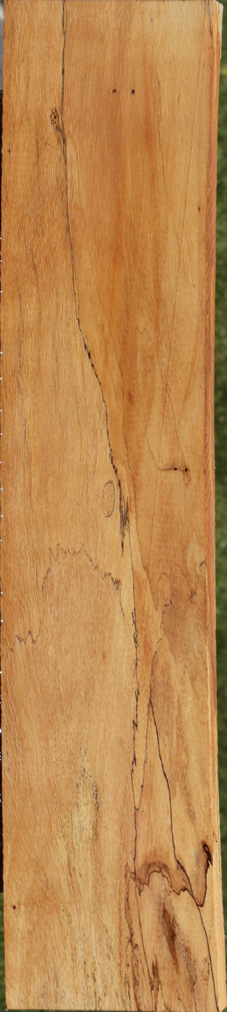 Spalted Tamarind Lumber