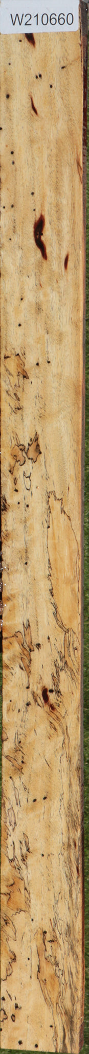 Extra Fancy Spalted Tamarind Lumber