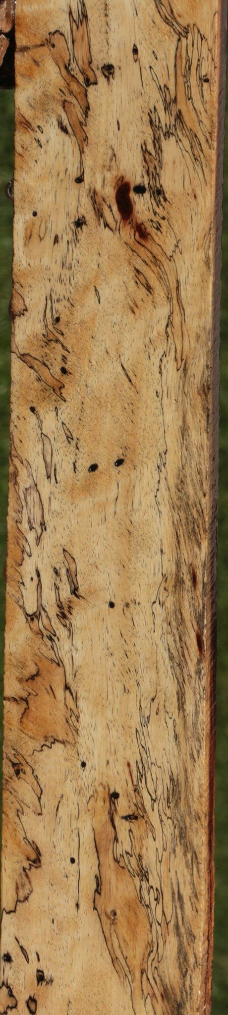 Extra Fancy Spalted Tamarind Lumber