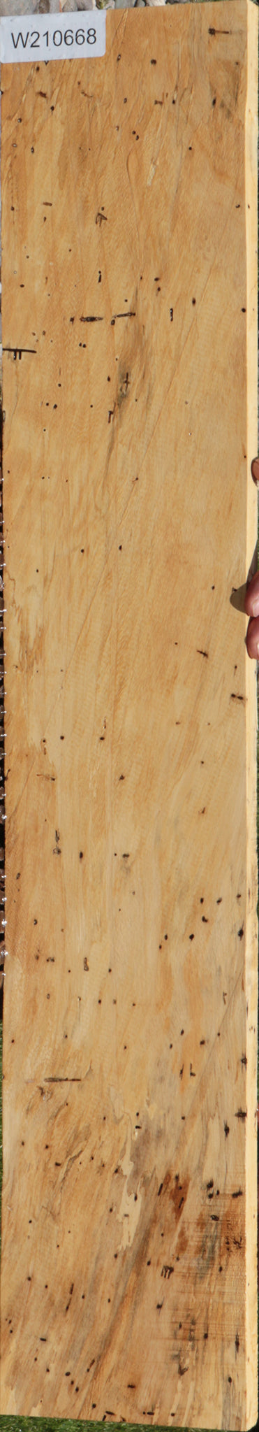 Spalted Tamarind Lumber