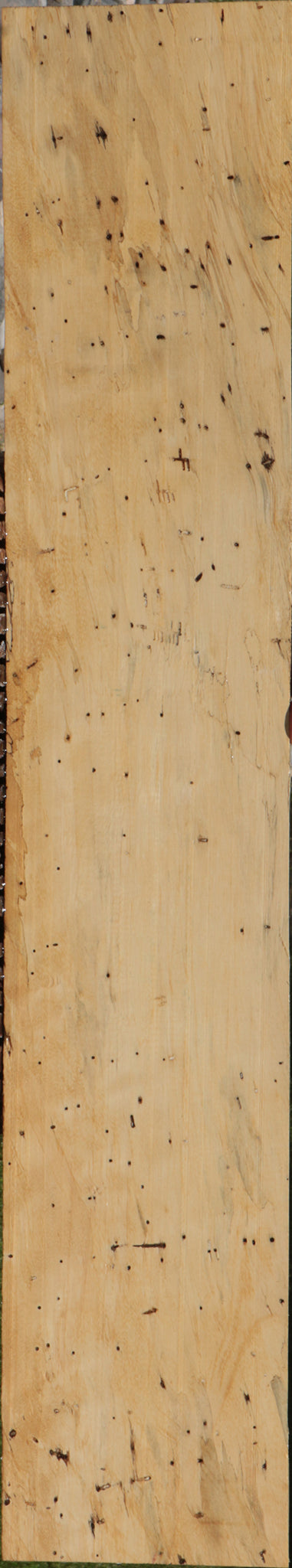 Spalted Tamarind Lumber