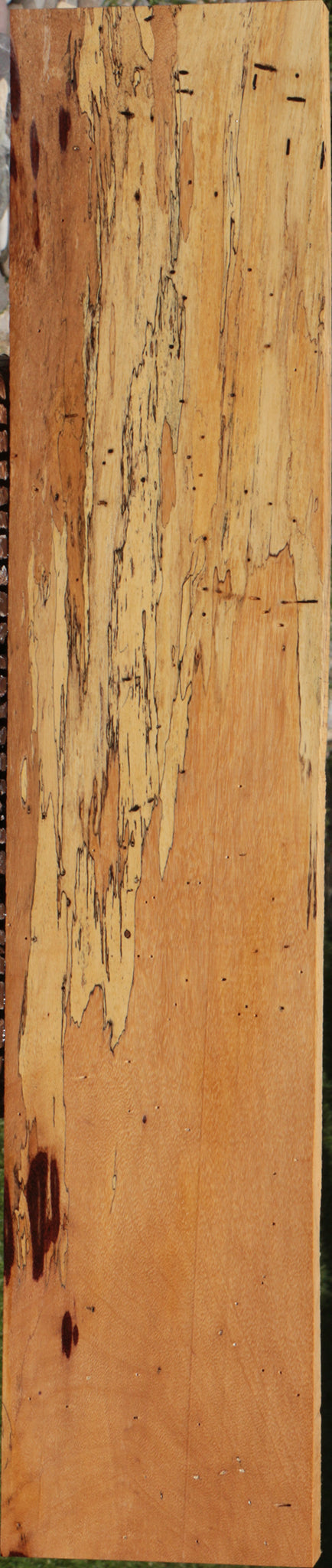 Extra Fancy Spalted Tamarind Lumber