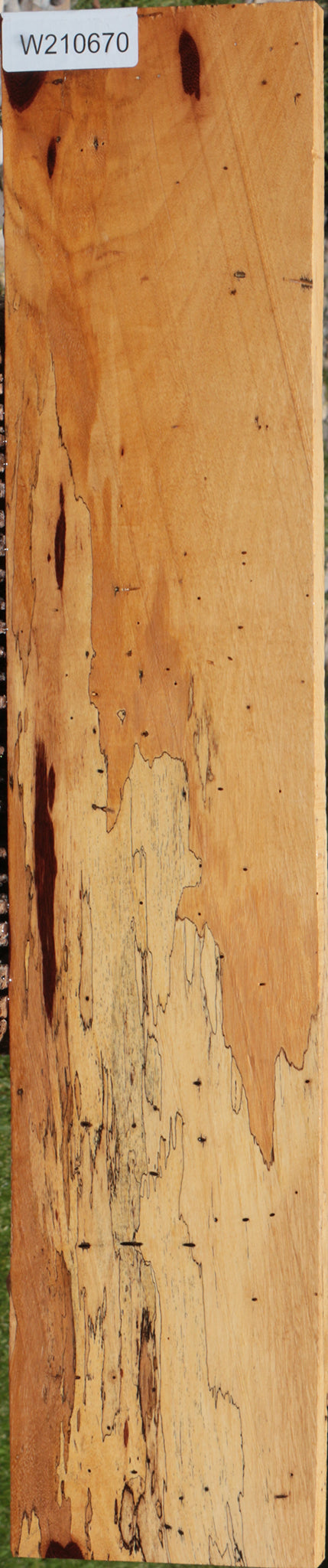 Extra Fancy Spalted Tamarind Lumber