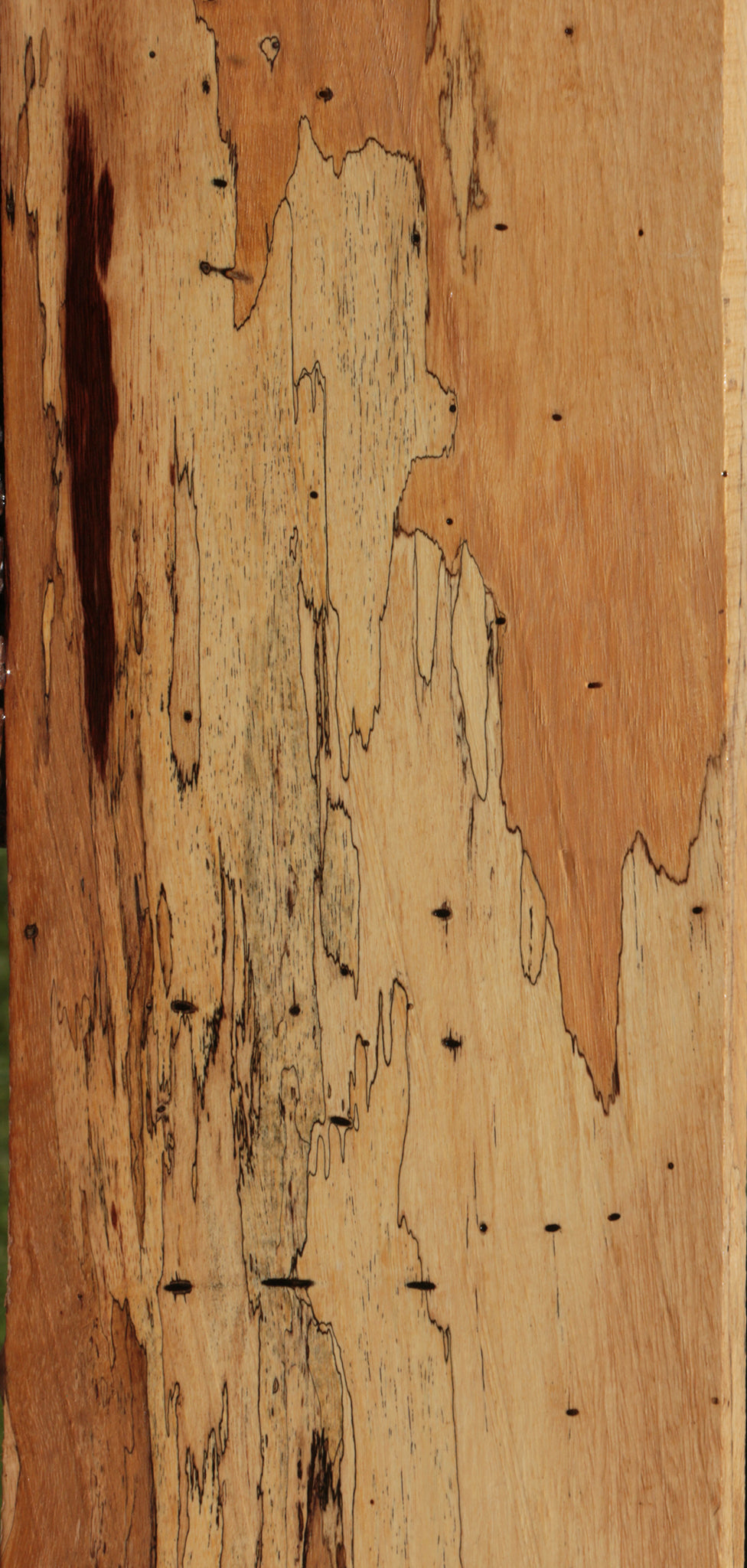 Extra Fancy Spalted Tamarind Lumber