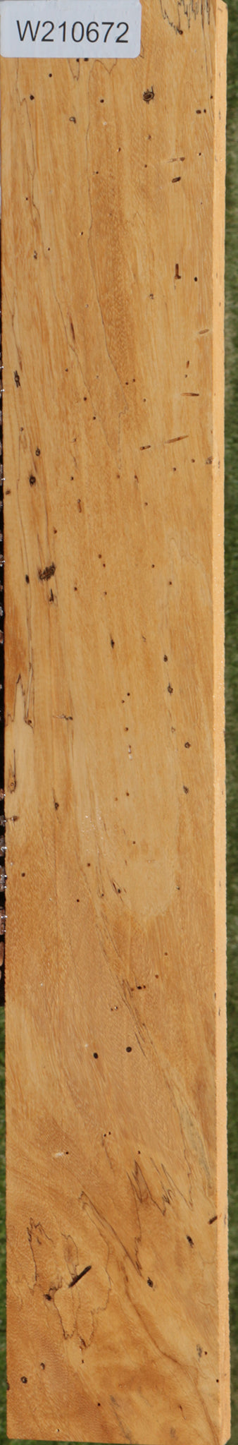 Spalted Tamarind Lumber