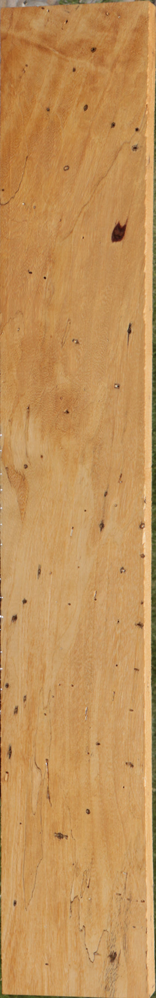 Spalted Tamarind Lumber