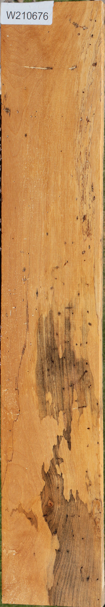 Spalted Tamarind Lumber