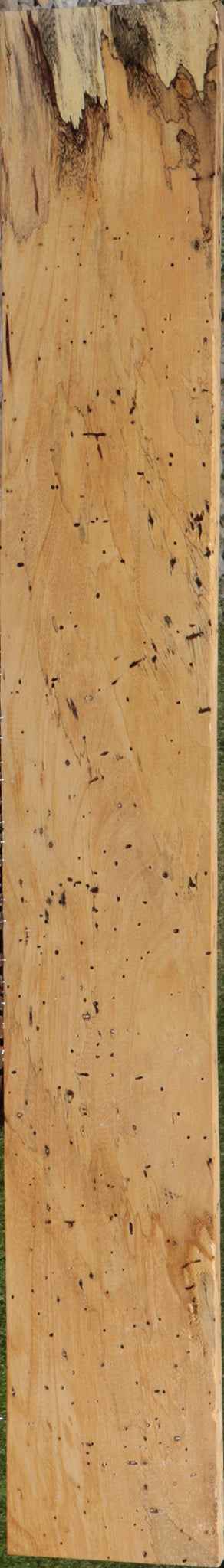 Spalted Tamarind Lumber