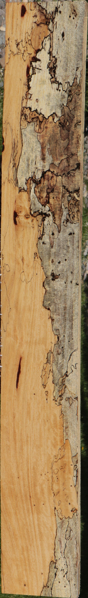 Exhibition Spalted Tamarind Lumber