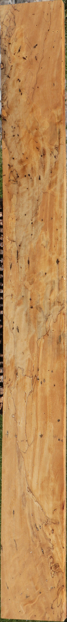 Spalted Tamarind Lumber