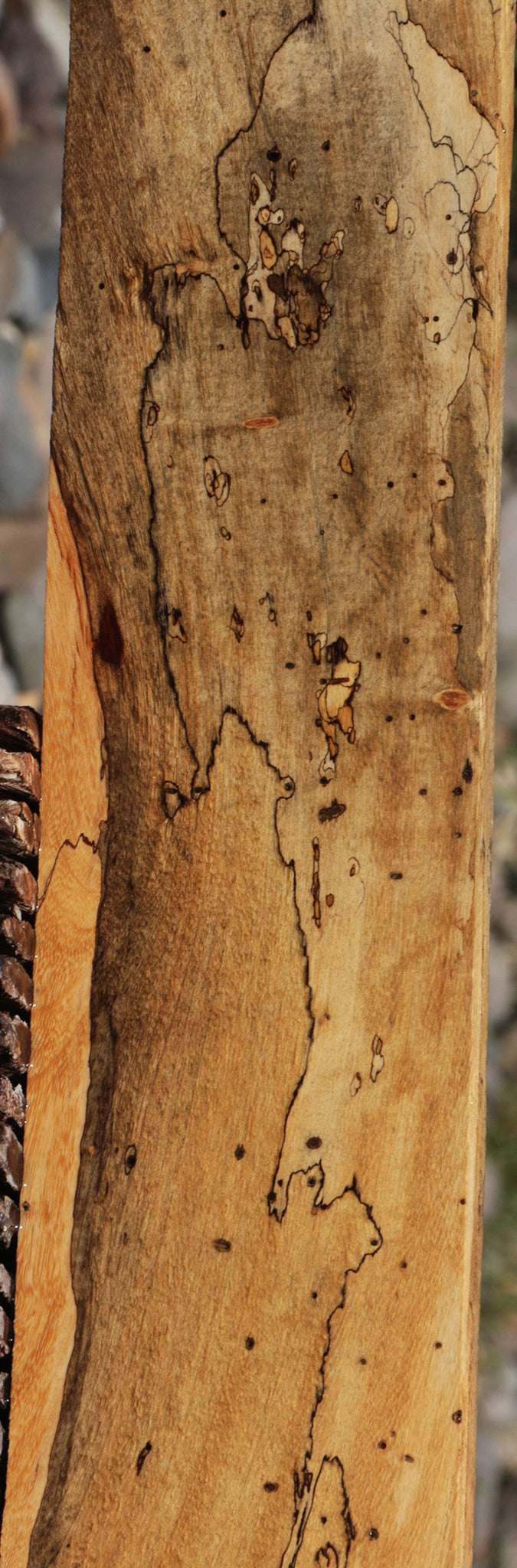 Extra Fancy Spalted Tamarind Lumber