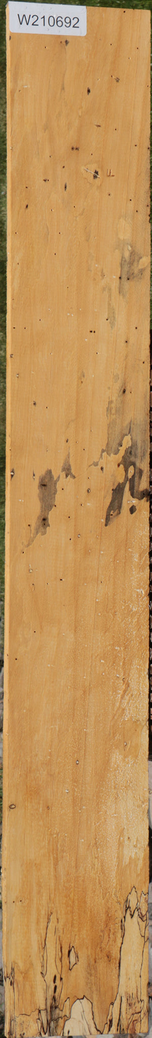 Spalted Tamarind Lumber