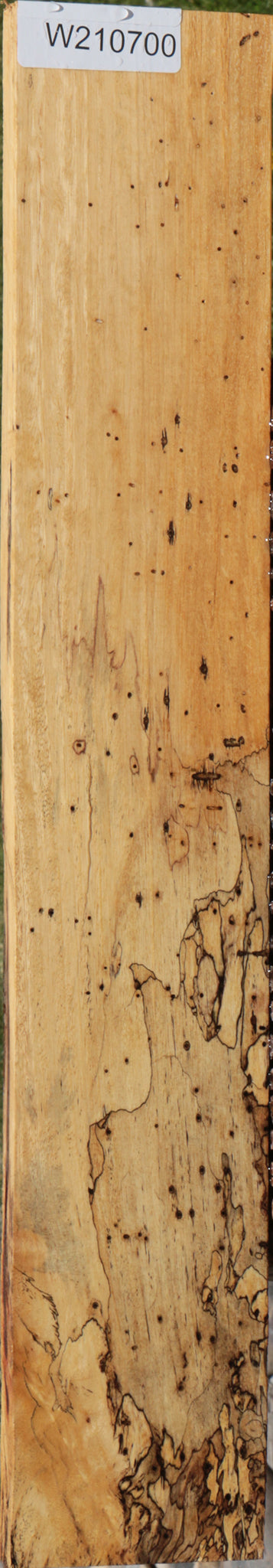 Extra Fancy Spalted Tamarind Lumber