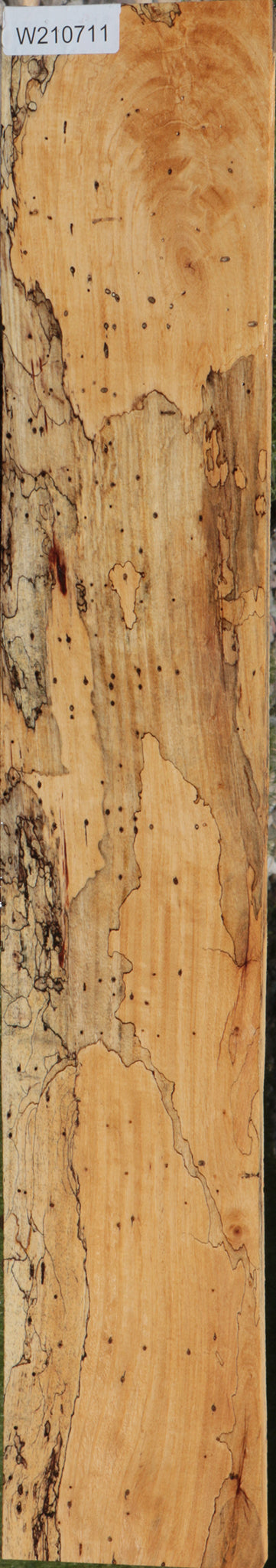 Exhibition Spalted Tamarind Lumber