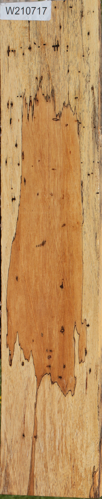 Extra Fancy Spalted Tamarind Lumber