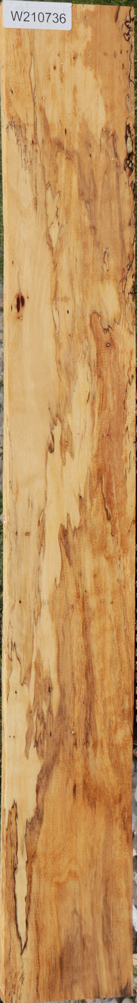 Extra Fancy Spalted Tamarind Lumber