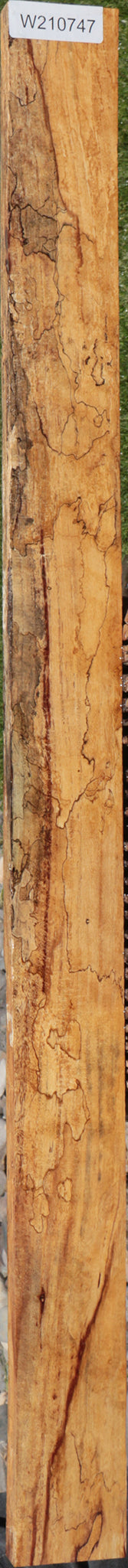 Extra Fancy Spalted Tamarind Lumber