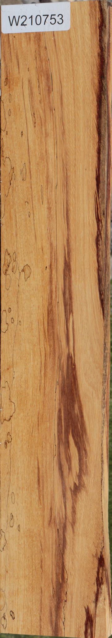 Spalted Tamarind Lumber