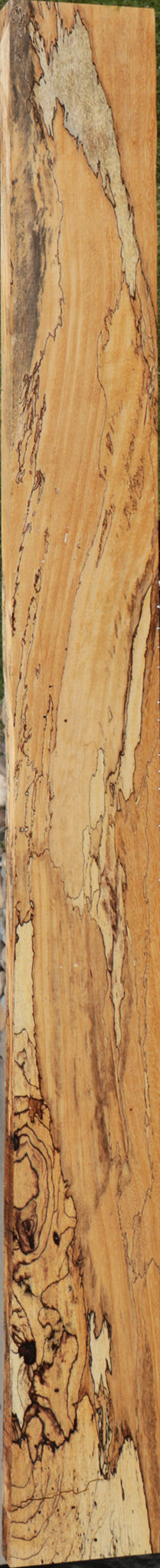 Extra Fancy Spalted Tamarind Lumber