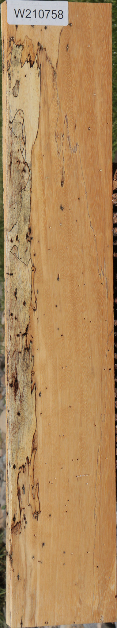 Figured Spalted Tamarind Lumber