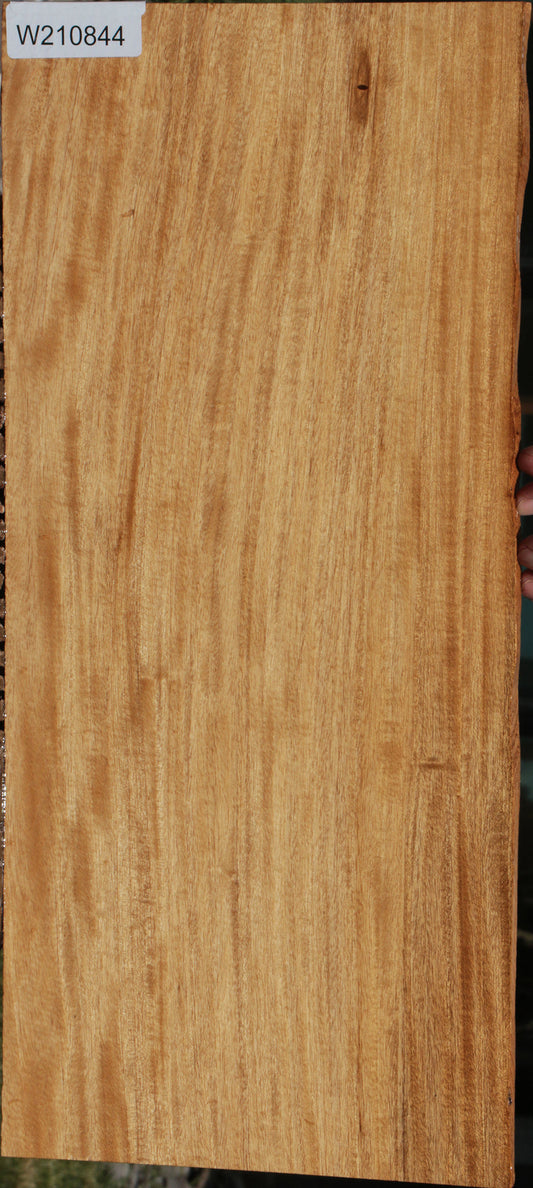 Extra Fancy Primavera Micro Lumber