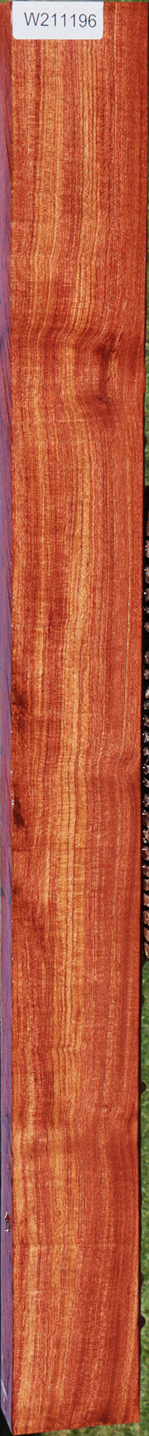 Figured Zambian Rosewood Lumber