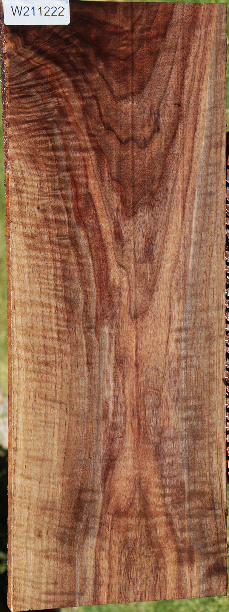 Extra Fancy Curly Eastern Walnut Lumber