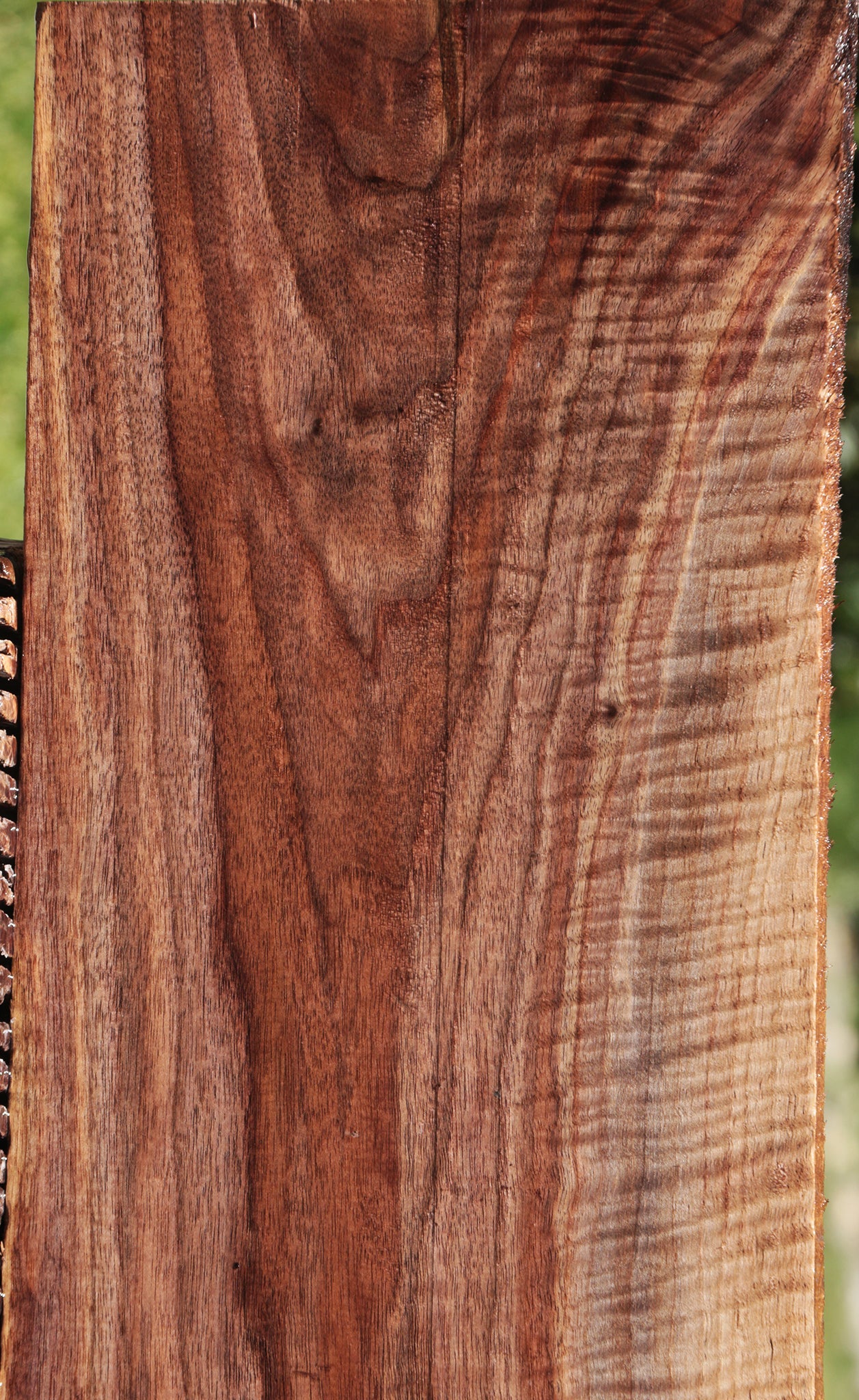 Extra Fancy Curly Eastern Walnut Lumber