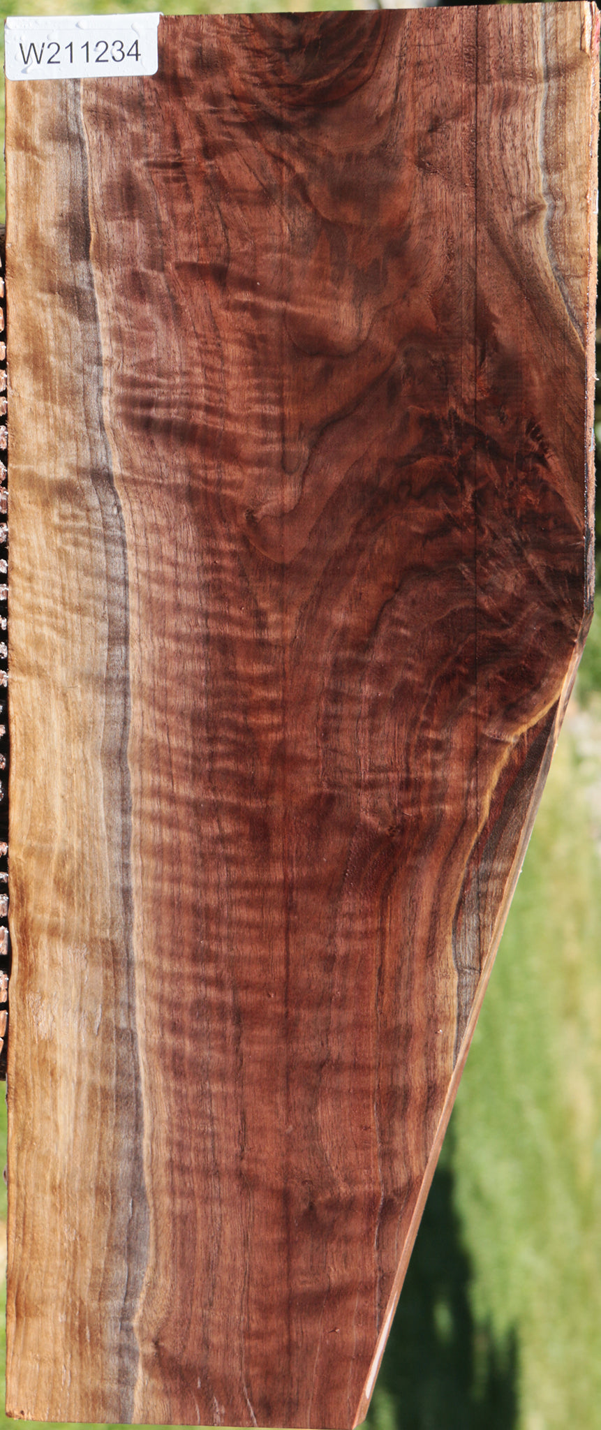 Exhibition Curly Eastern Walnut Lumber