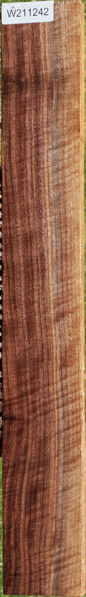 Extra Fancy Curly Eastern Walnut Lumber