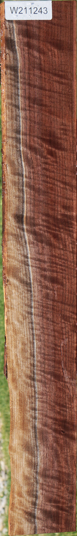 Extra Fancy Curly Eastern Walnut Lumber