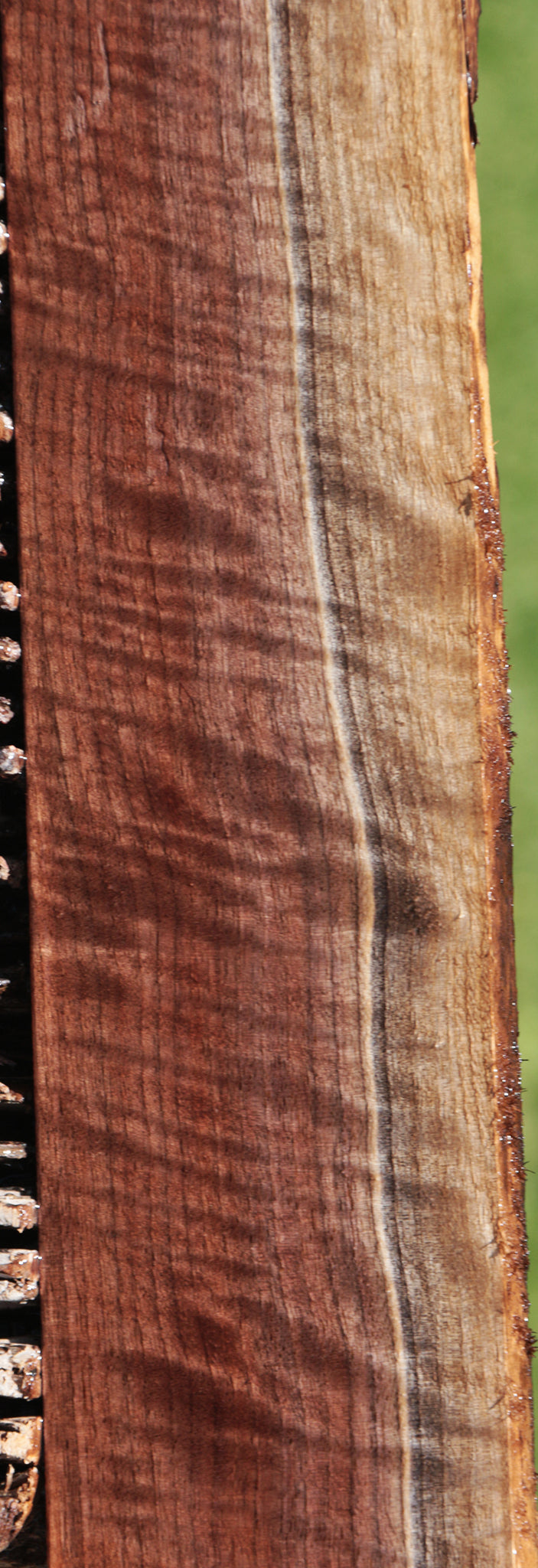 Extra Fancy Curly Eastern Walnut Lumber