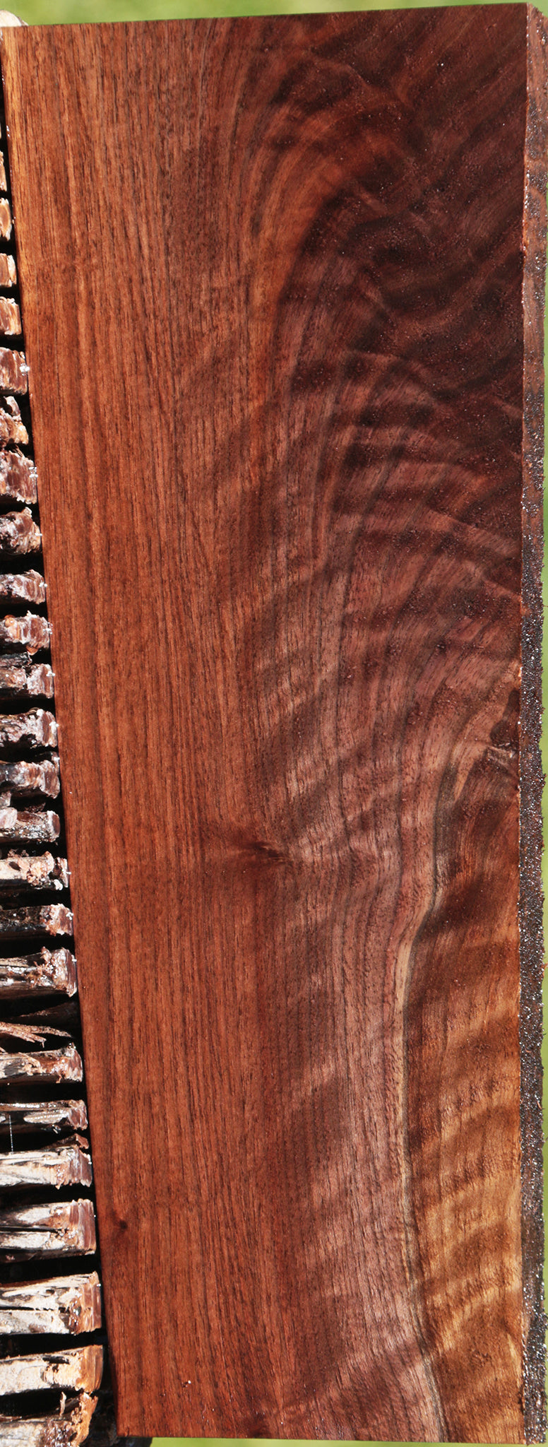 Extra Fancy Curly Eastern Walnut Lumber