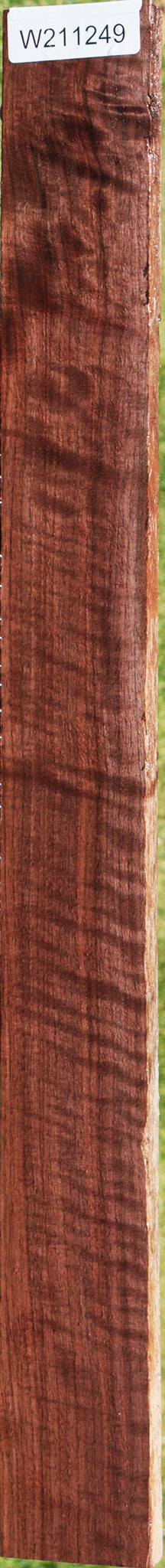 Extra Fancy Curly Eastern Walnut Lumber