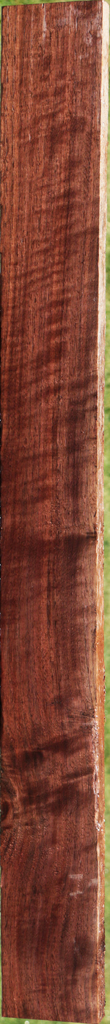 Extra Fancy Curly Eastern Walnut Lumber