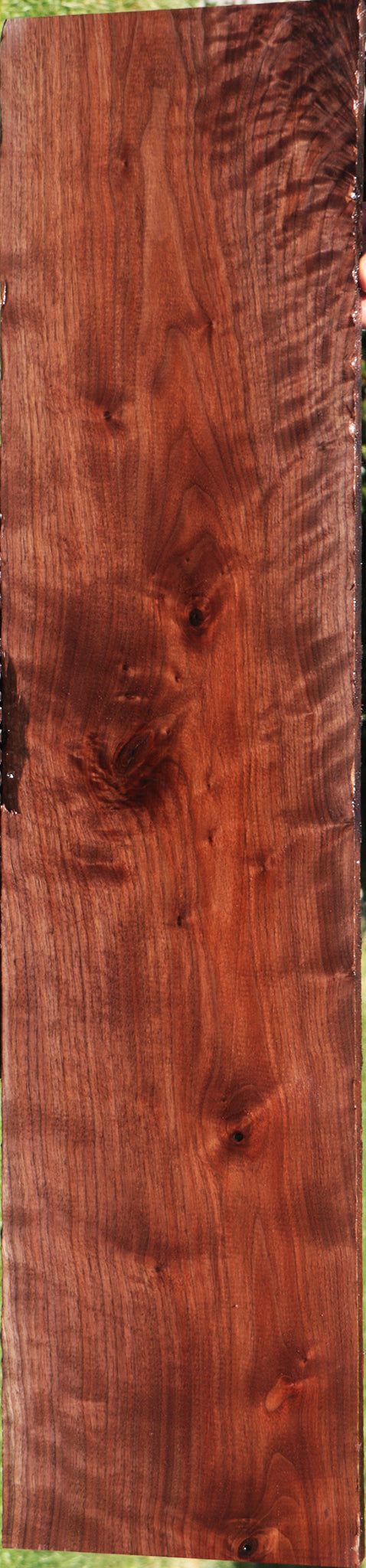 Curly Eastern Walnut Lumber