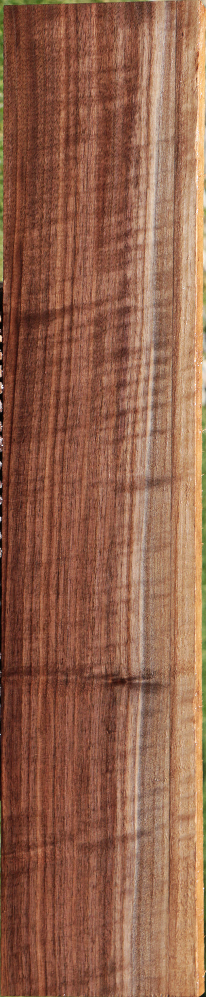 Extra Fancy Curly Eastern Walnut Lumber