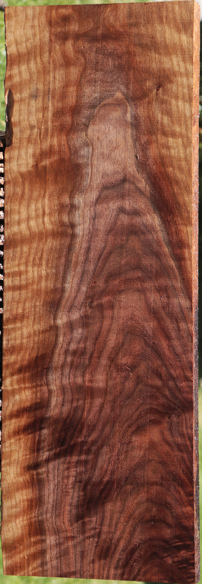 Extra Fancy Curly Eastern Walnut Lumber