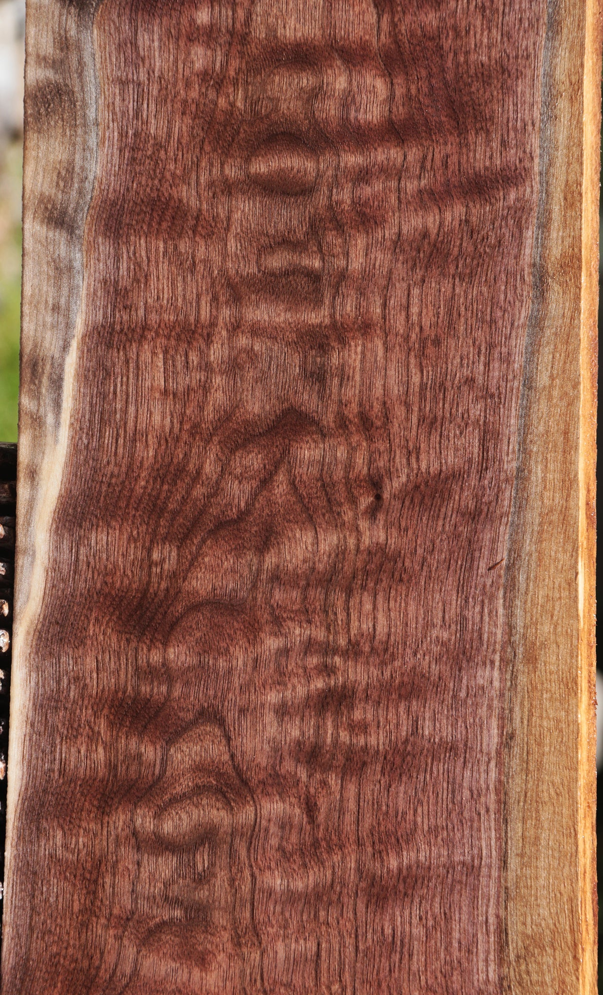 Extra Fancy Curly Eastern Walnut Lumber