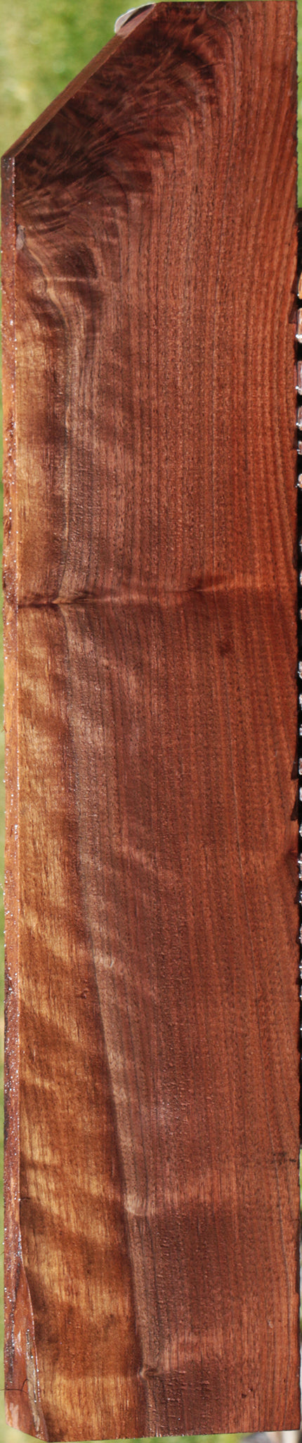 Curly Eastern Walnut Lumber