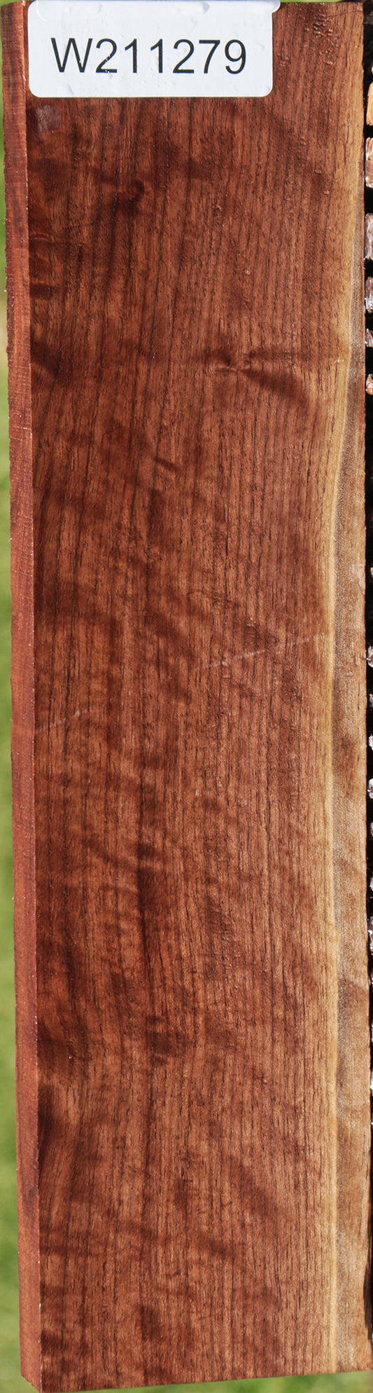 Curly Eastern Walnut Lumber