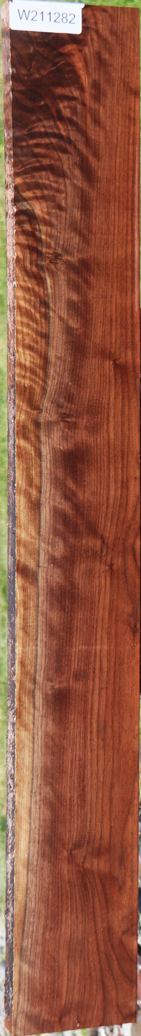 Curly Eastern Walnut Lumber