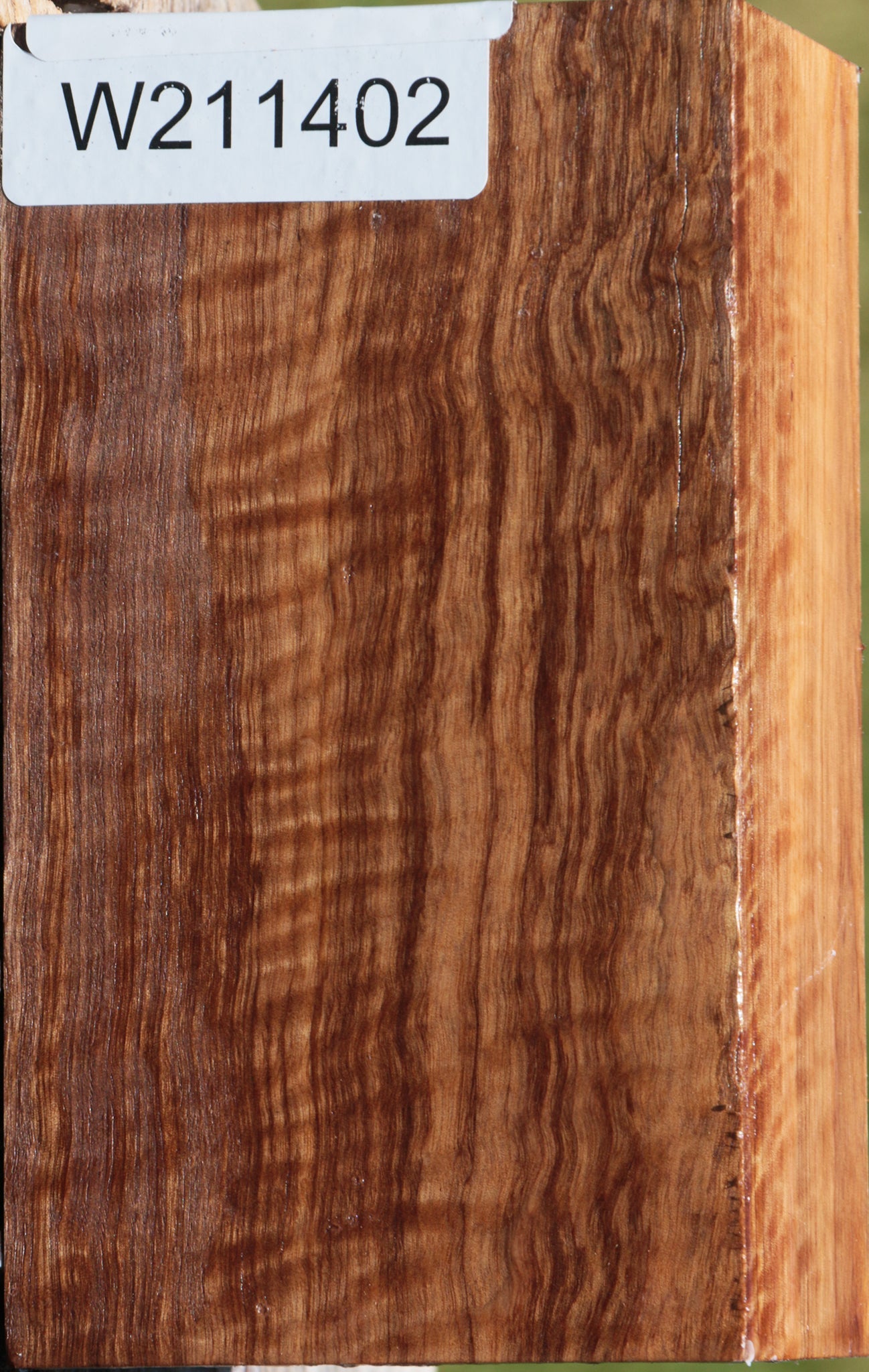 Curly Asian Satinwood Turning Blank