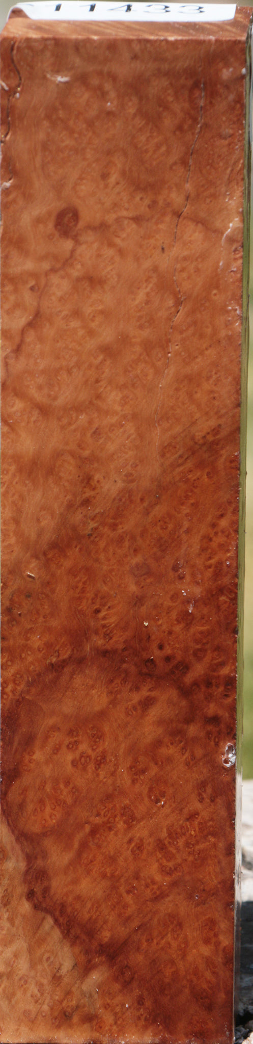 Extra Fancy Kanista Burl Turning Blank